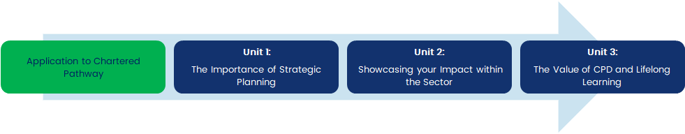Manager Fellow application process.png