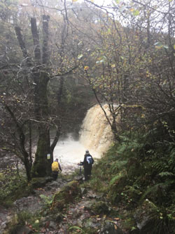 Nochildwaterfallpic250.jpg