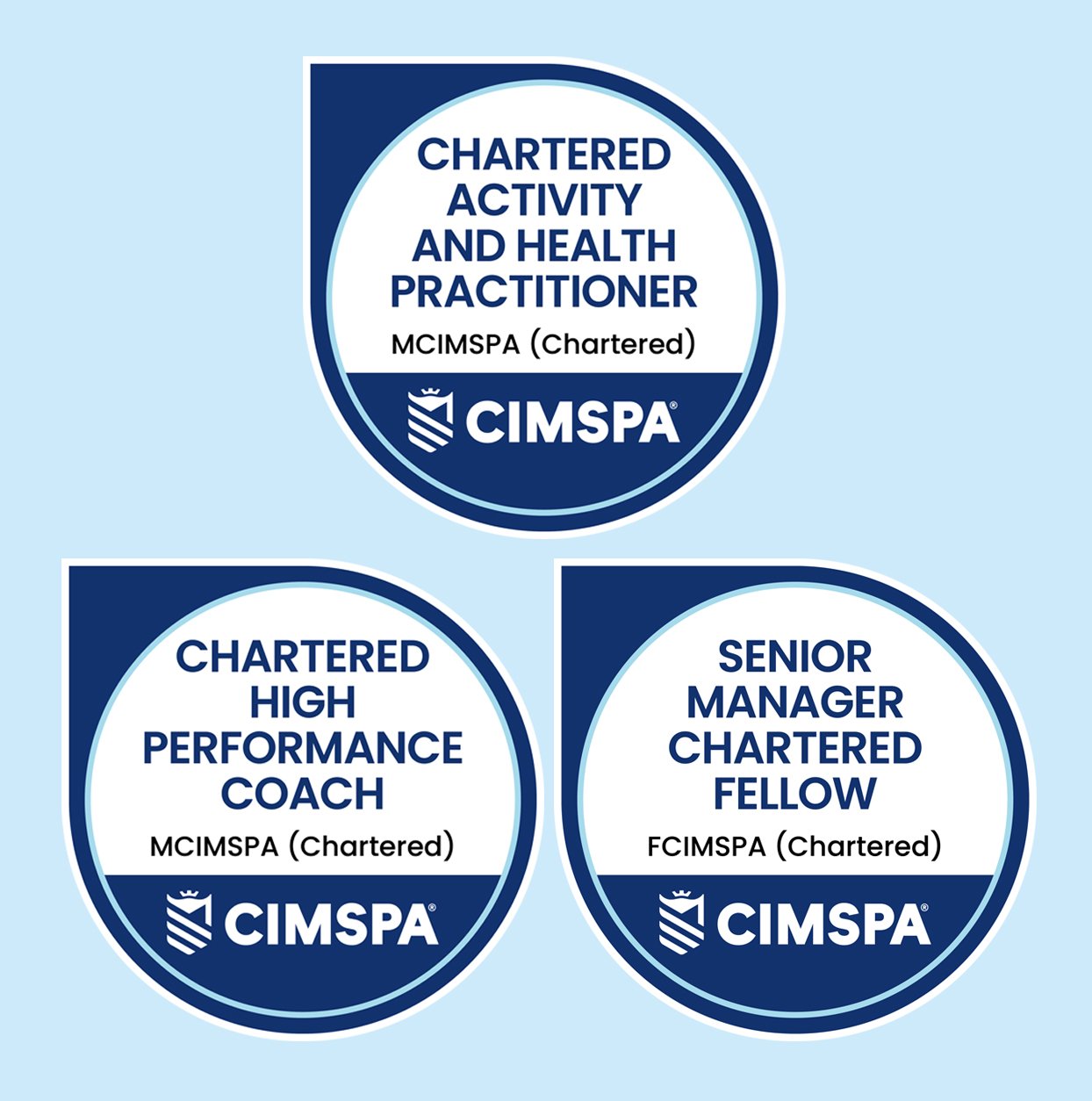 Badge examples.jpg