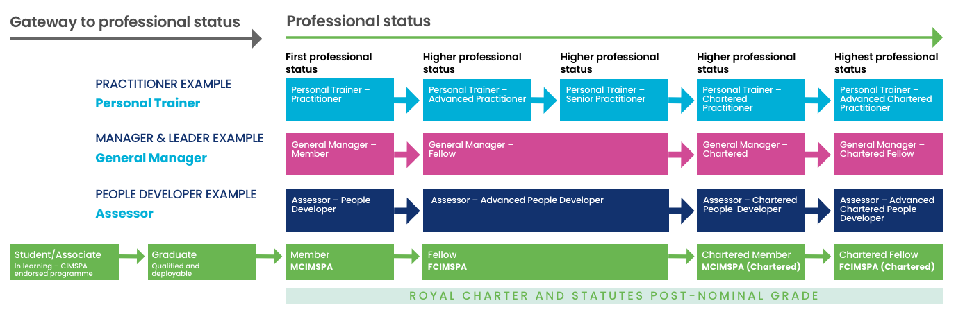 Proffesional status graphic.png