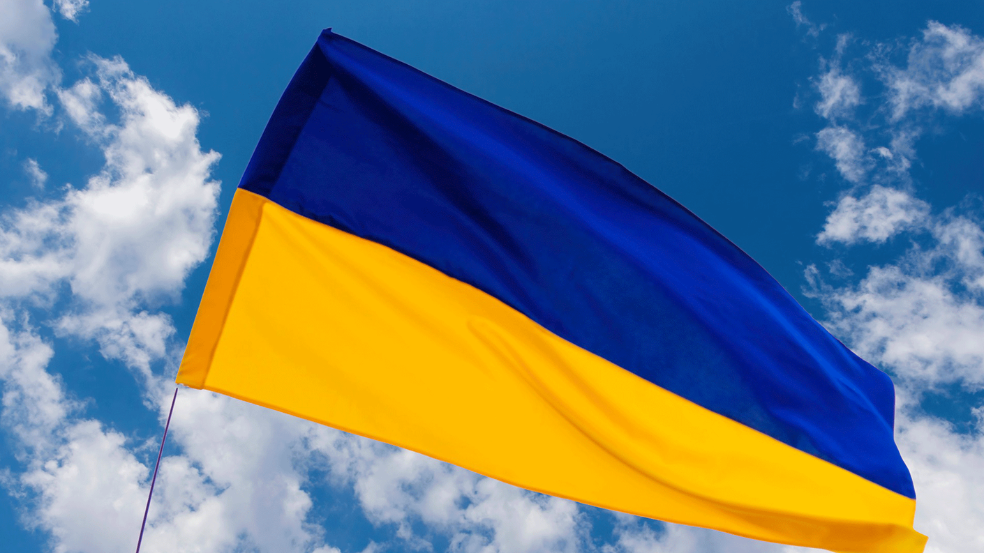 Ukraine Flag